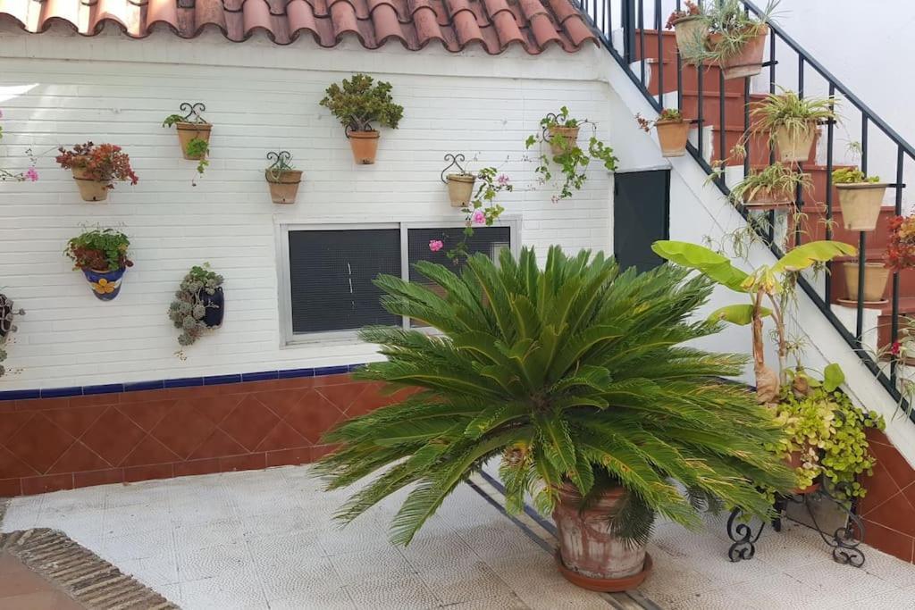 Sevilla A Tus Pies Mairena del Aljarafe Buitenkant foto